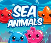 Sea Animals