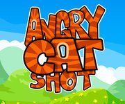 Angry Cat Shot