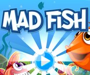 Mad Fish